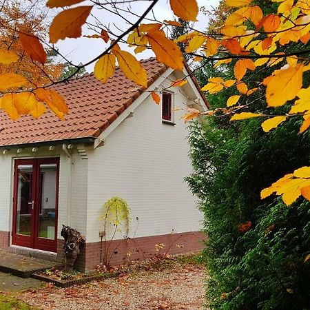 Dennenhuis Vaassen المظهر الخارجي الصورة