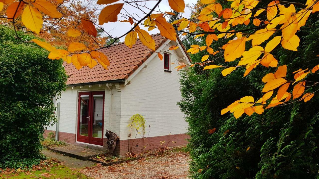 Dennenhuis Vaassen المظهر الخارجي الصورة