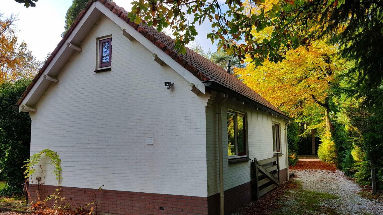 Dennenhuis Vaassen المظهر الخارجي الصورة